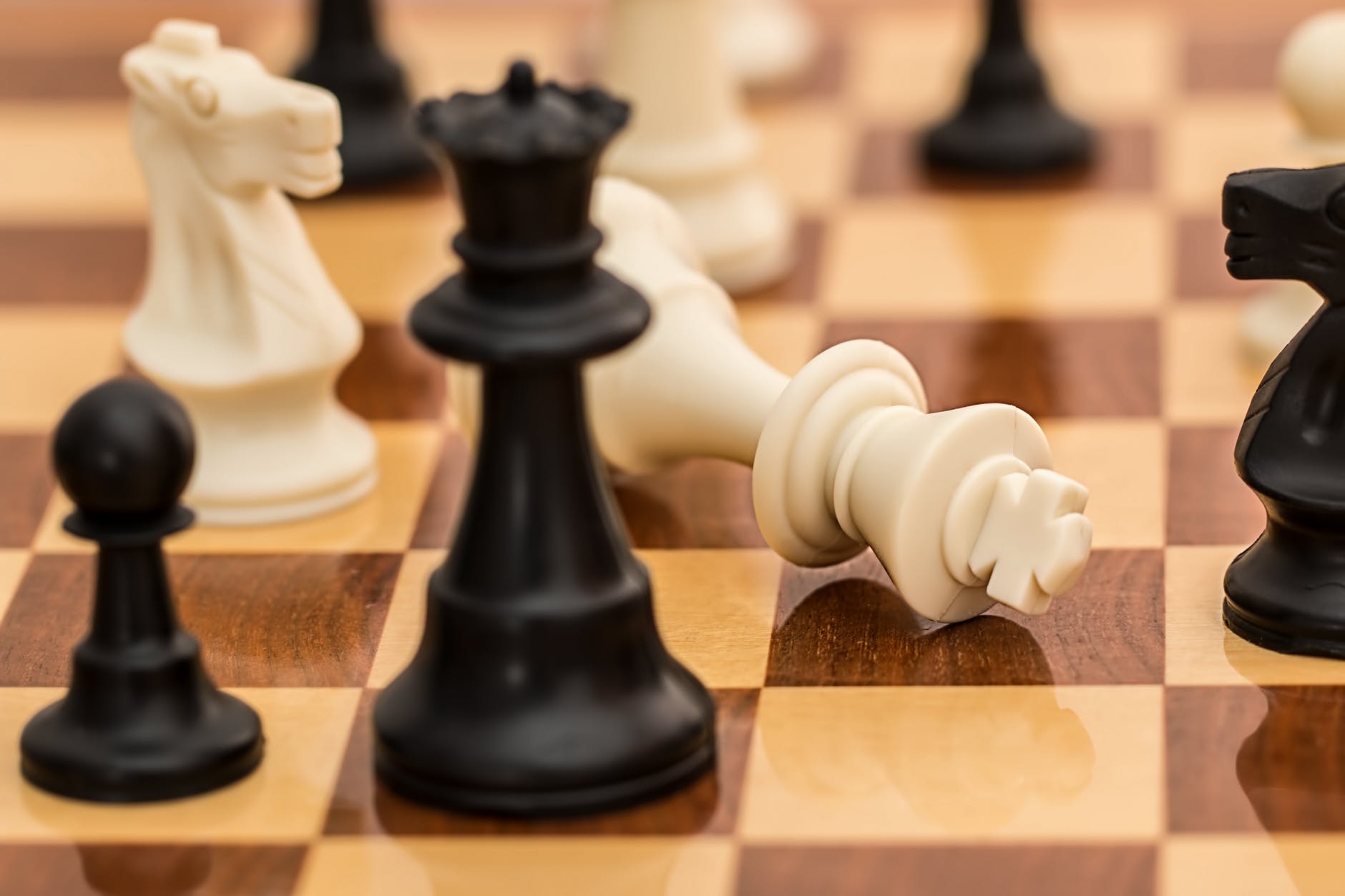 checkmate-chess-resignation-conflict-139392.jpg