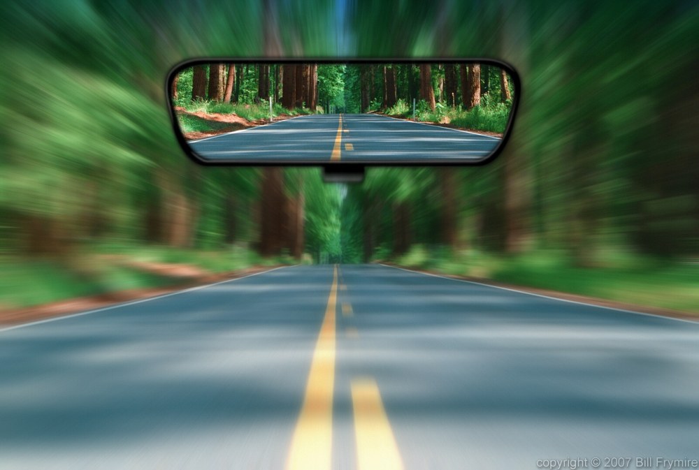 looking-back-moving-forward.jpeg