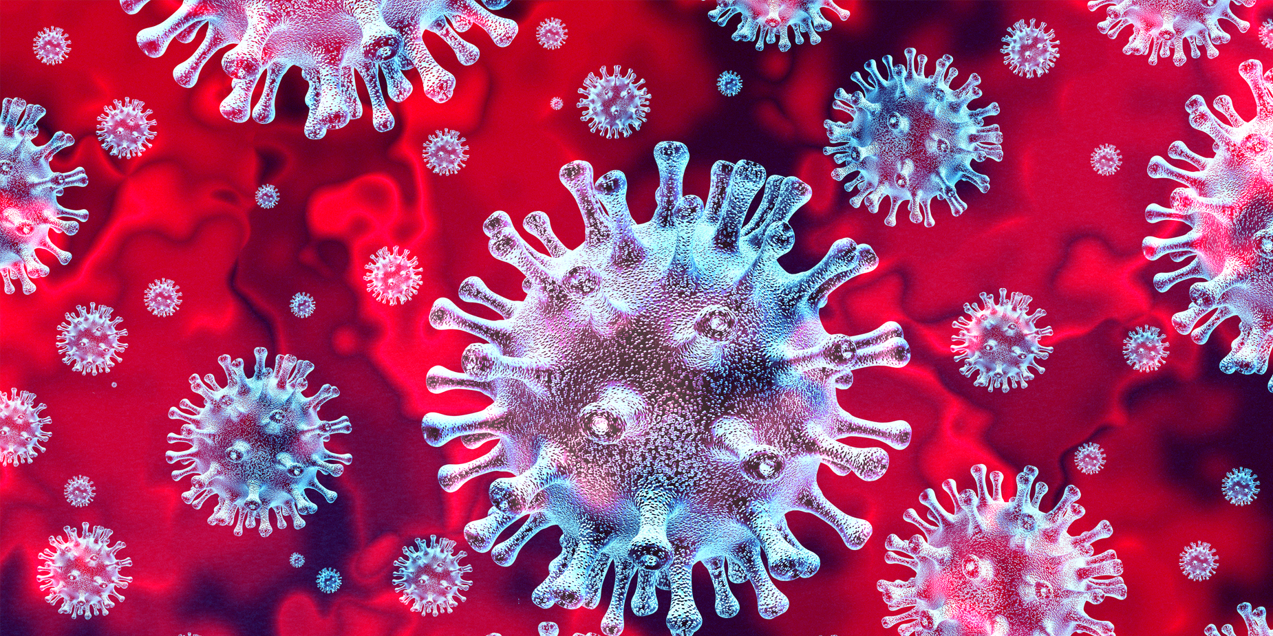 virus-2to1.jpg