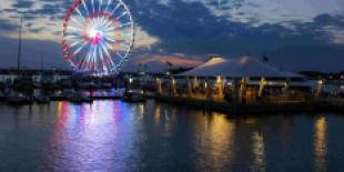 capital_wheel_at_national_harbor_maryland_usa_lit_up_at_night.jpg